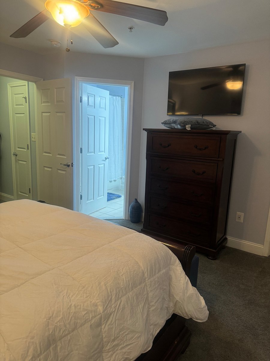 Furnished Finder property 574815_1 photo 47