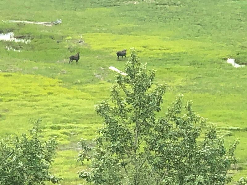 Furnished Finder property 574897_1 photo 3