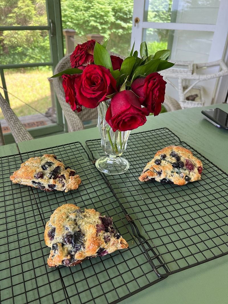 Welcome :
Homemade Scones will be waiting for you.