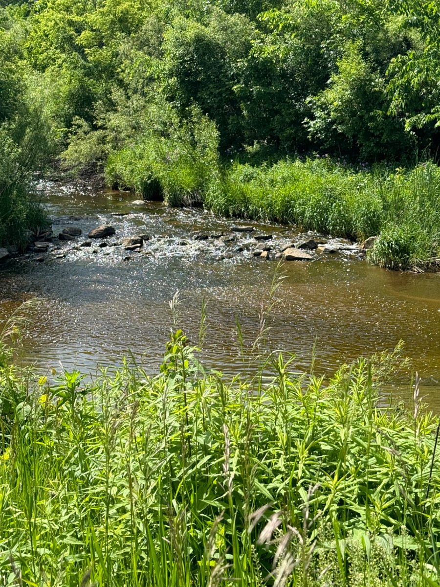 One of many beautiful scenic sites along the Bike trail