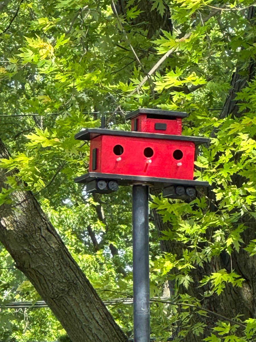 Birdhouse hotel train has 1 vacancy left .