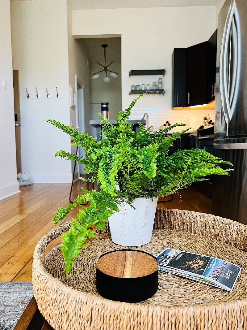 Furnished Finder property 575074_1 photo 7