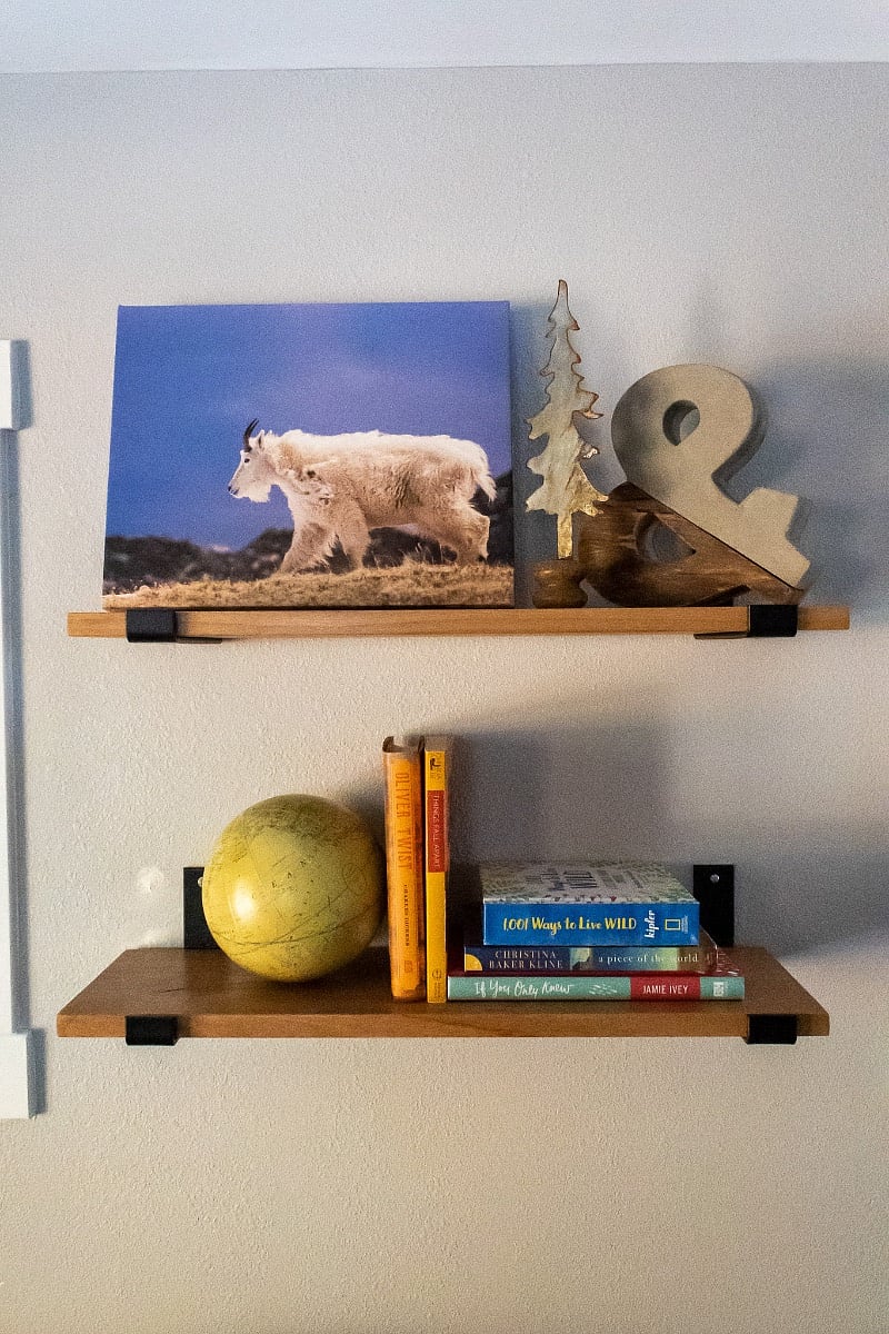 Living area shelving