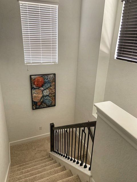 Furnished Finder property 575203_1 photo 21
