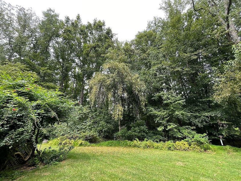 Furnished Finder property 575206_1 photo 16