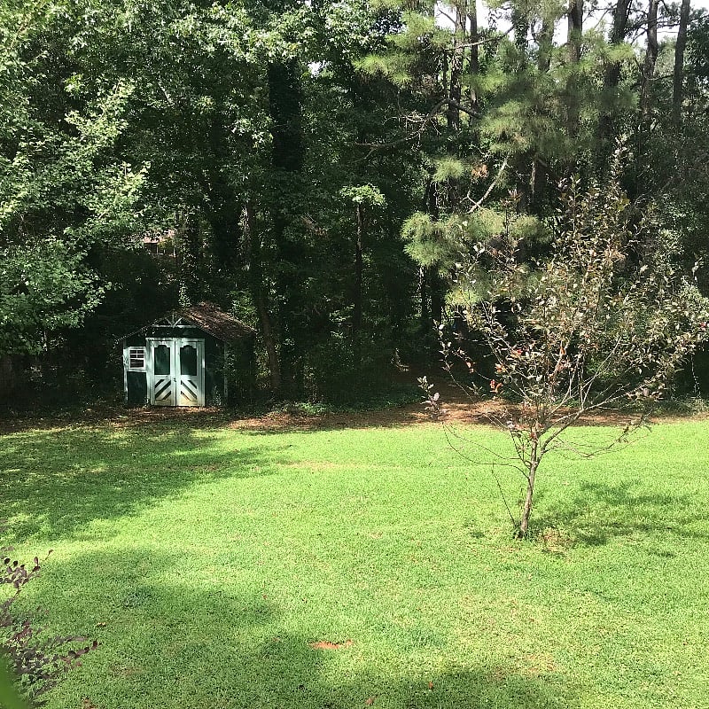 View of backyard from kitchen and bathroom.