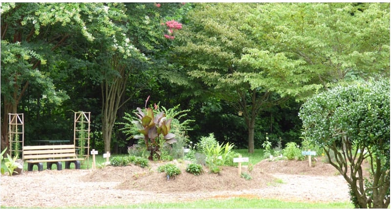 Community Peach Pit!  Walkable and across from the pond and pool.

