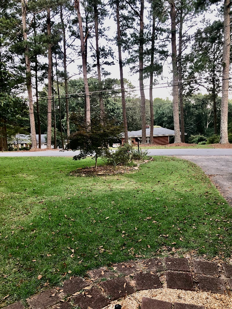 your front yard view
