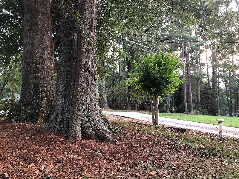front yard view