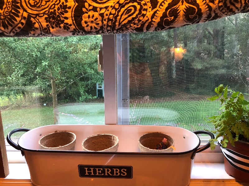 kitchen window view