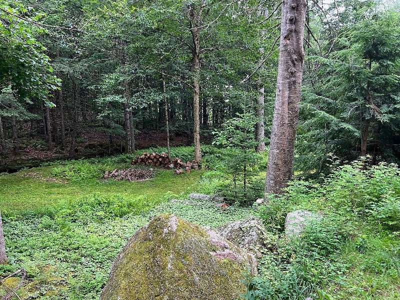Furnished Finder property 575337_1 photo 13