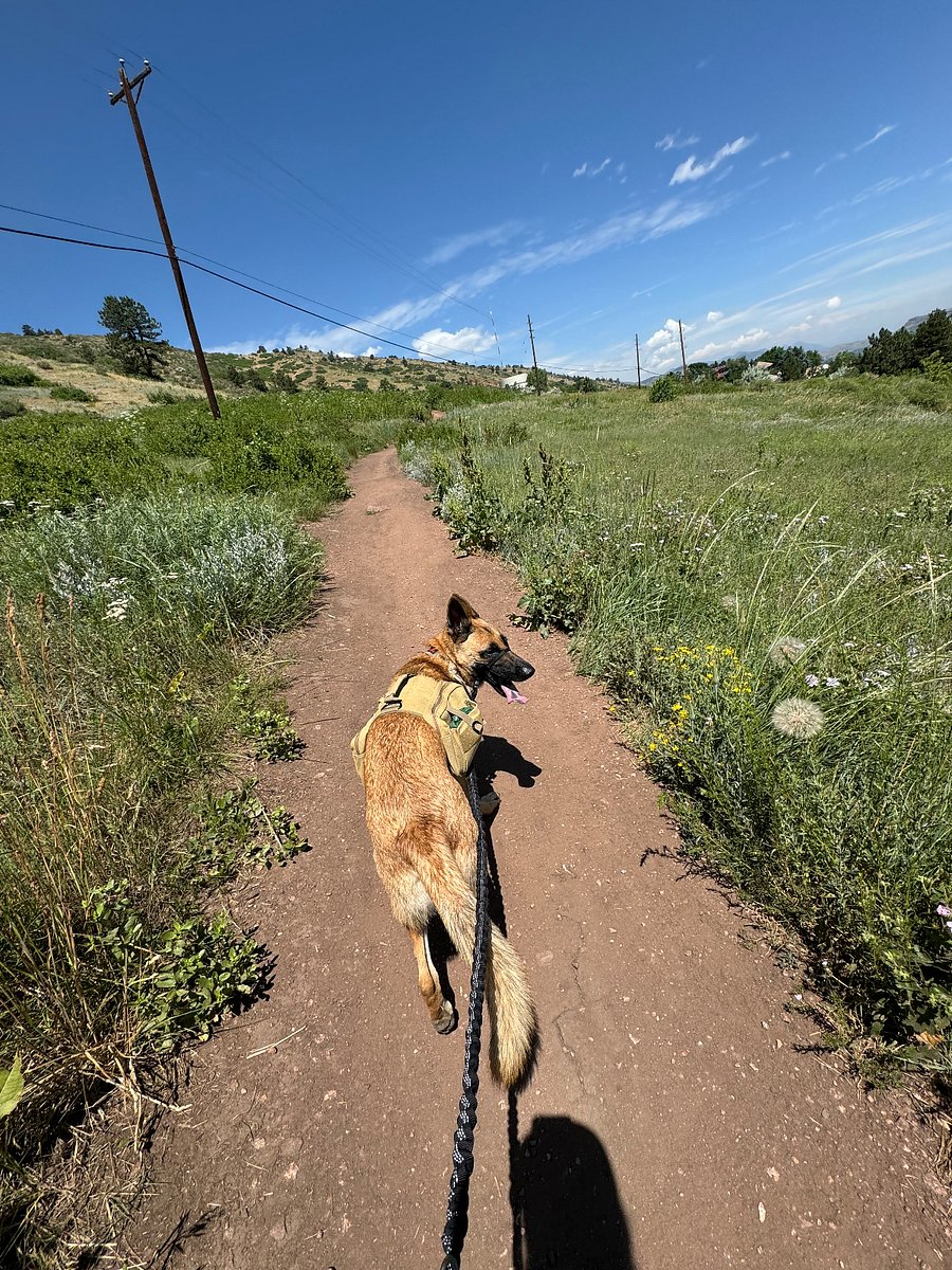 Local access to dog friendly hiking trails