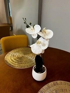 Furnished Finder property 575863_1 photo 15