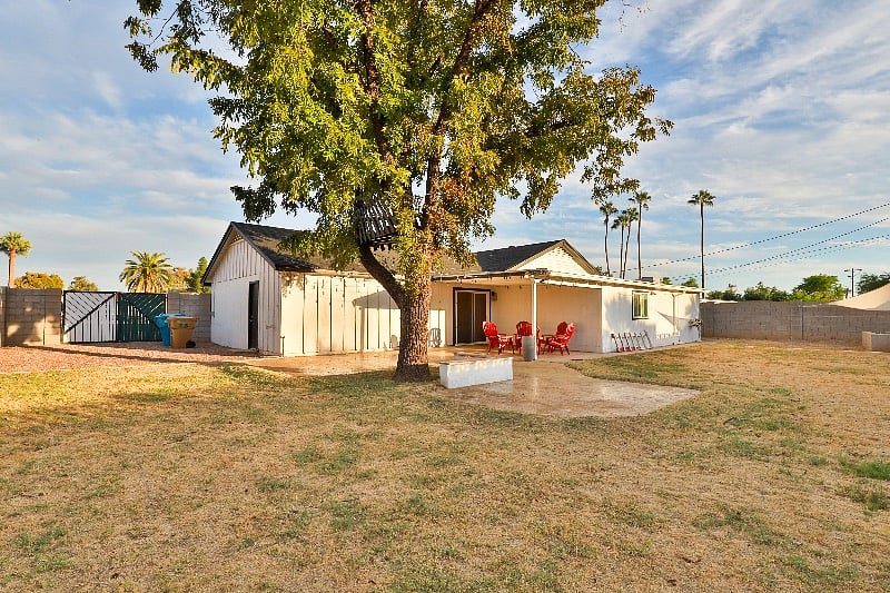 Huge backyard with grass