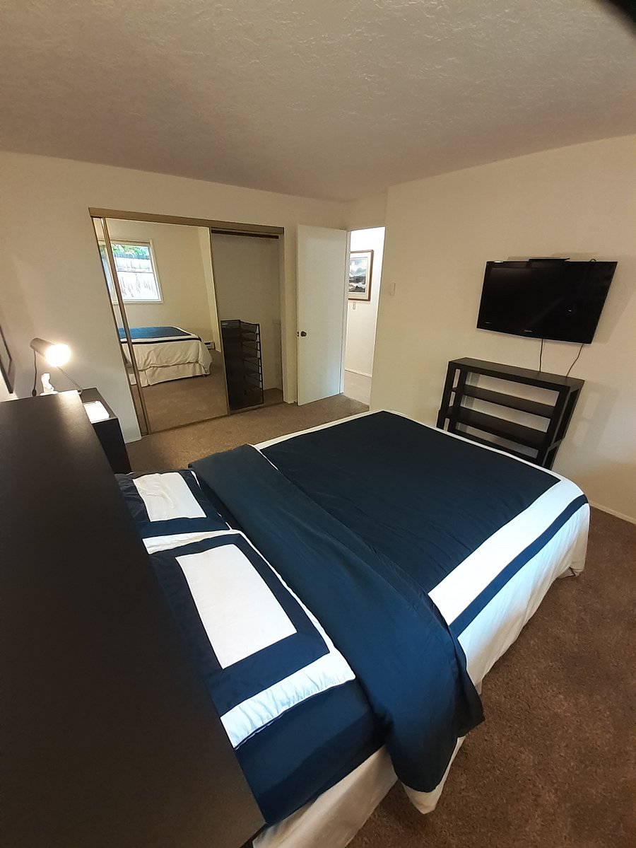 Furnished Finder property 576071_1 photo 27
