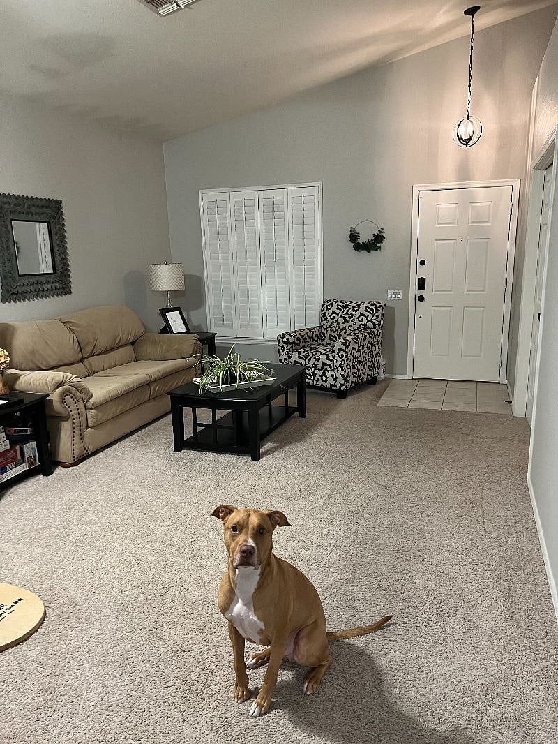 Furnished Finder property 576162_1 photo 8