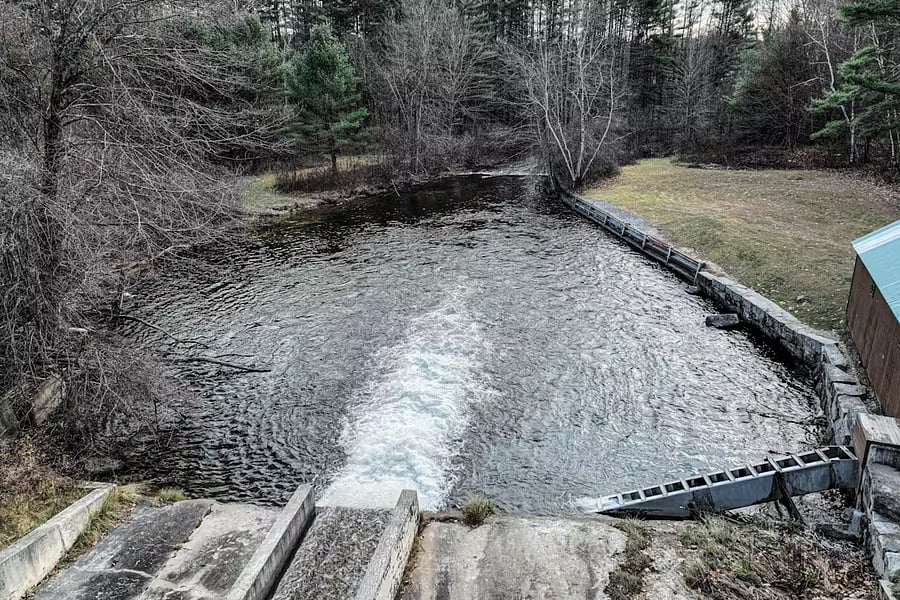 Bridge view of hatchery pool