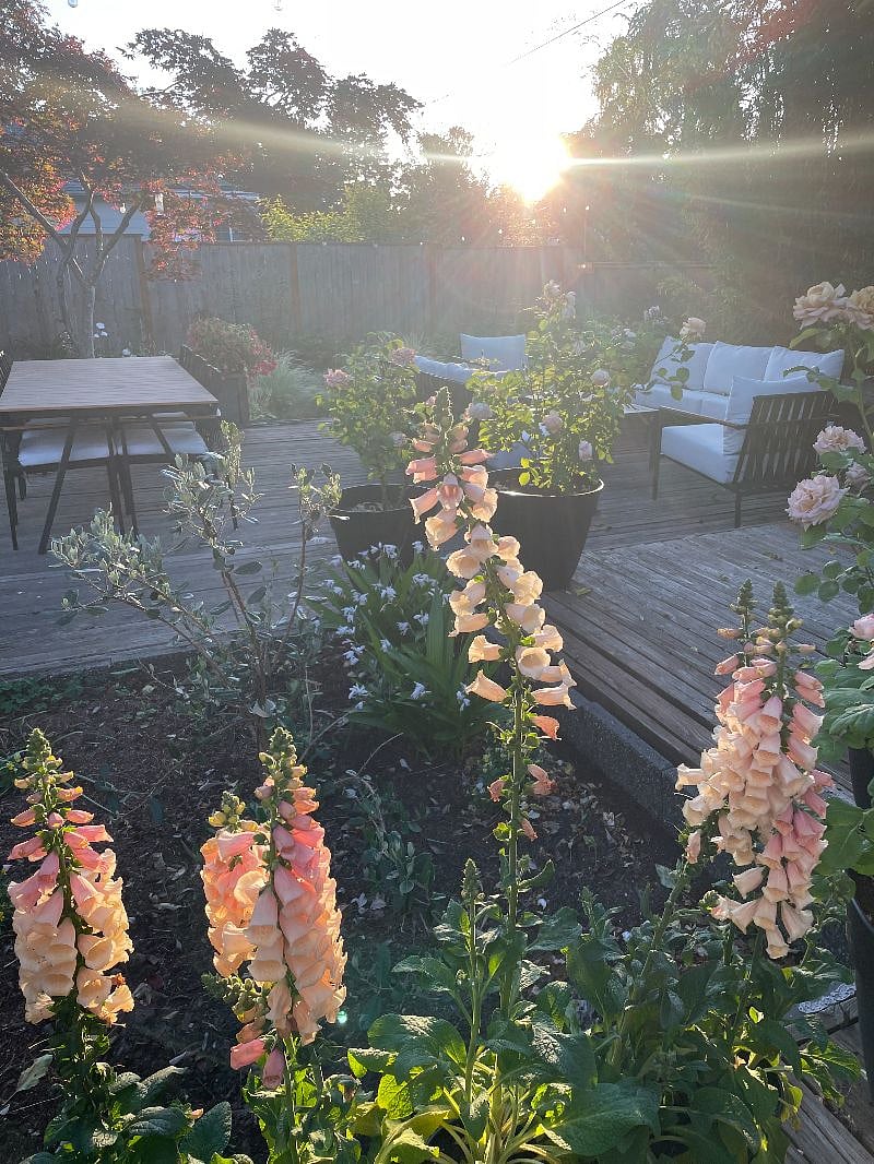 shared back patio with outdoor lounge & dining room