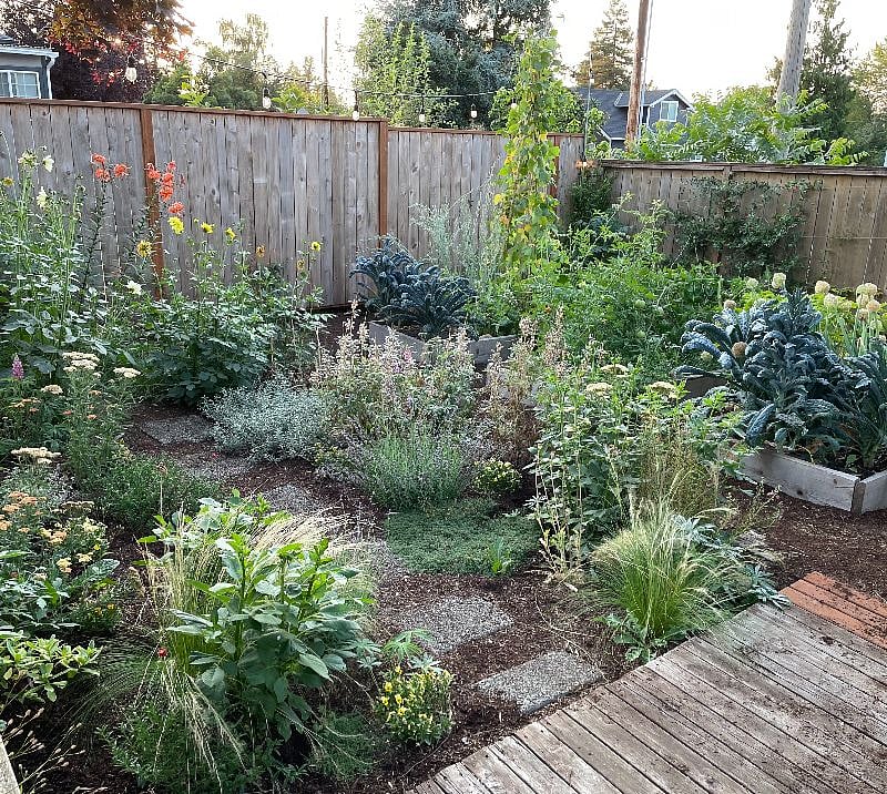 shared back garden with vegetable beds and flowers