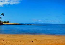 Local Beach