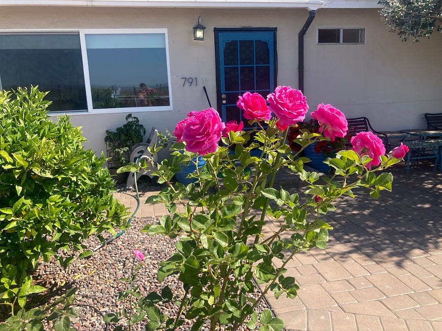 Furnished Finder property 576552_1 photo 20