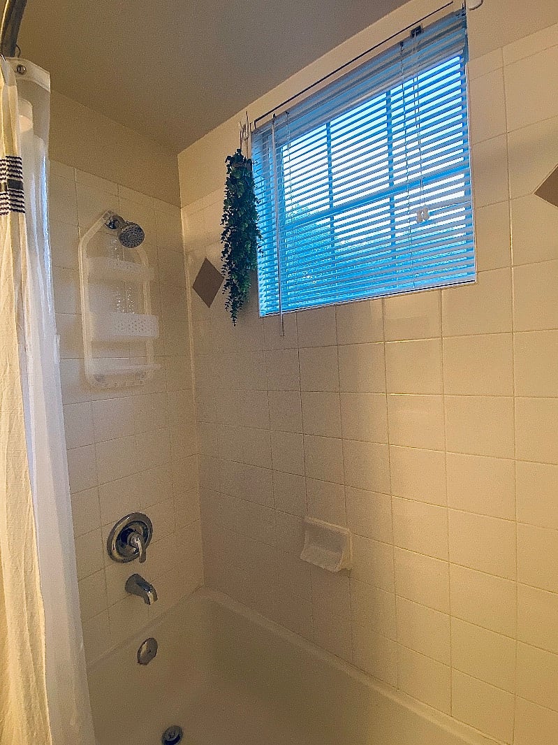 Tub shower