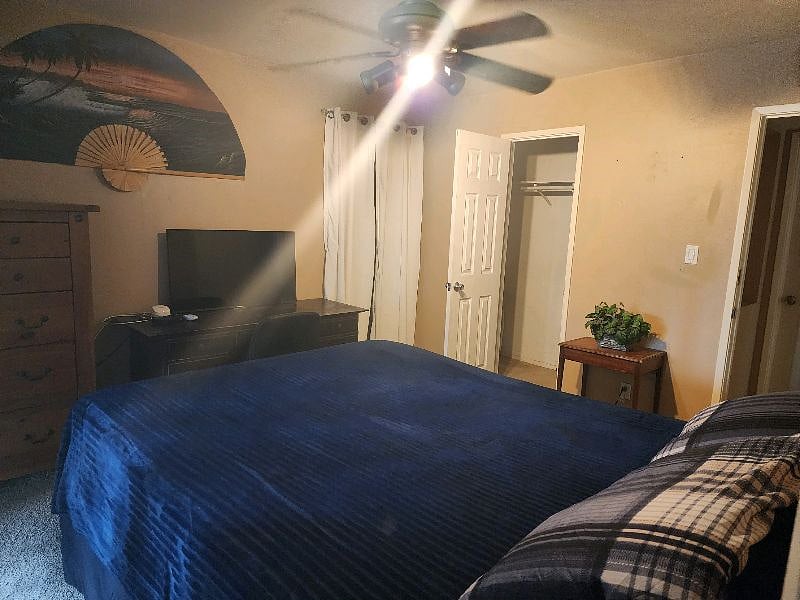 Furnished Finder property 576785_1 photo 3