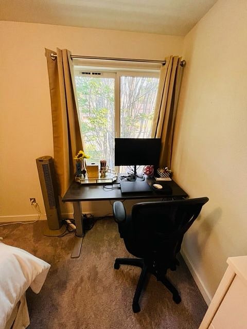 Ergonomic desk & monitor included
