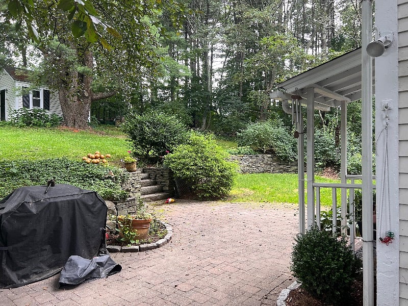 Back yard.