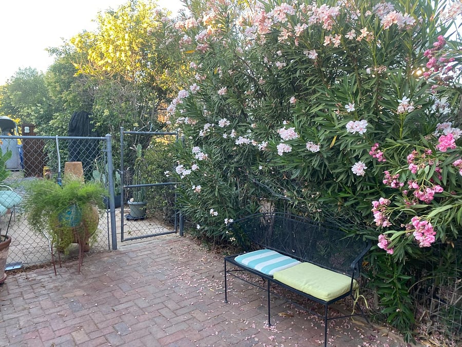 Furnished Finder property 576923_1 photo 14