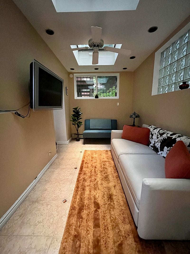Living Room Windows