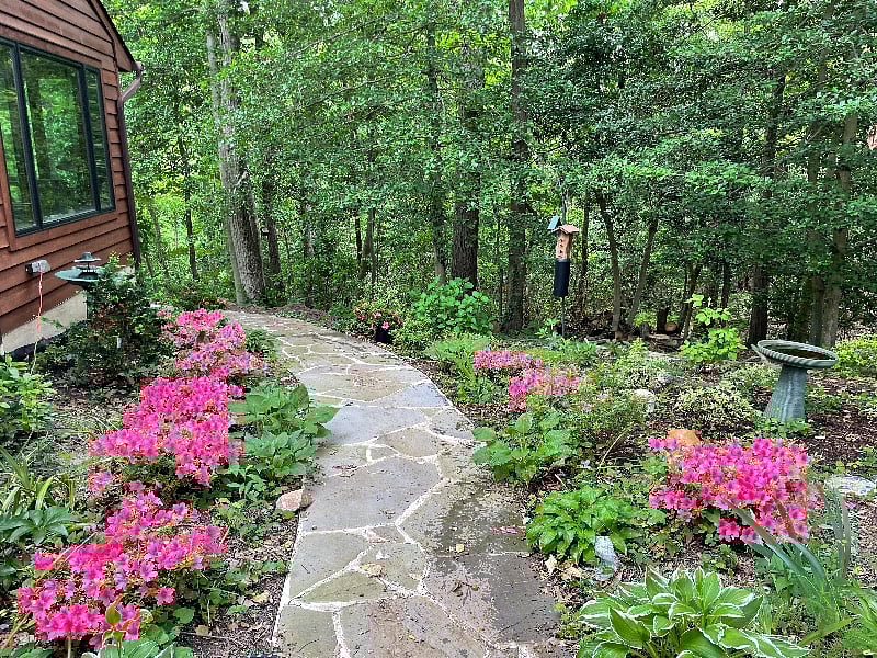 Furnished Finder property 577006_1 photo 24