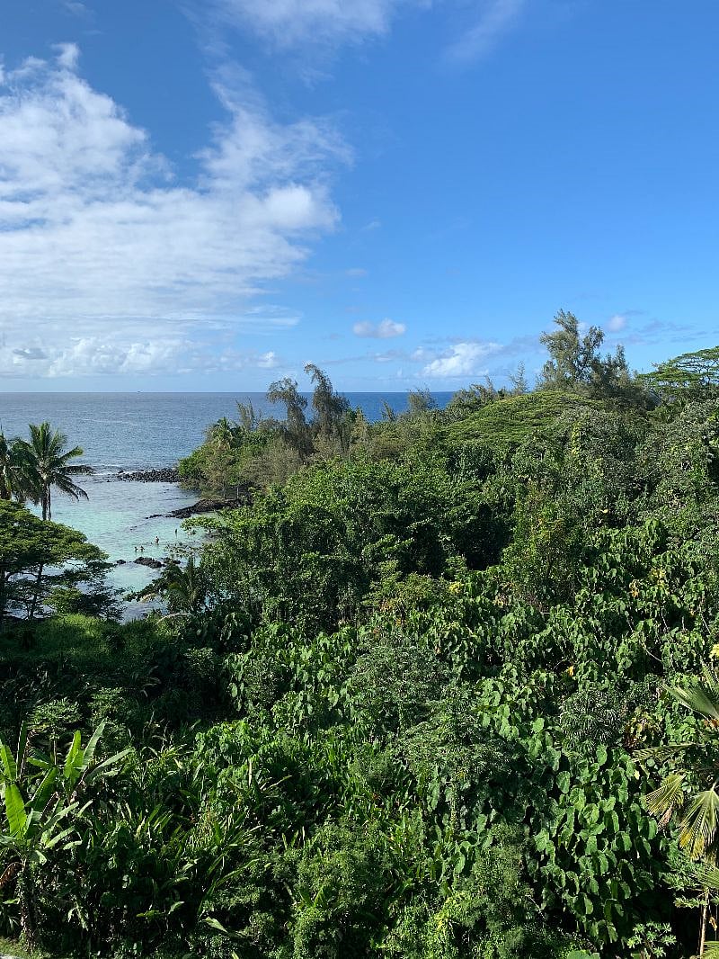 View of Ocean