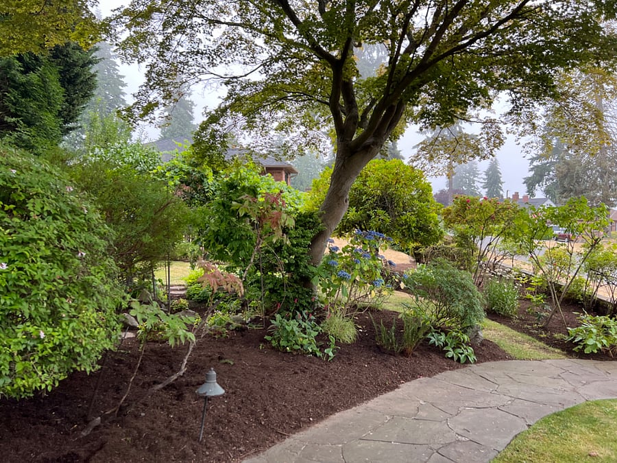 Our lovely garden - great neighborhood
