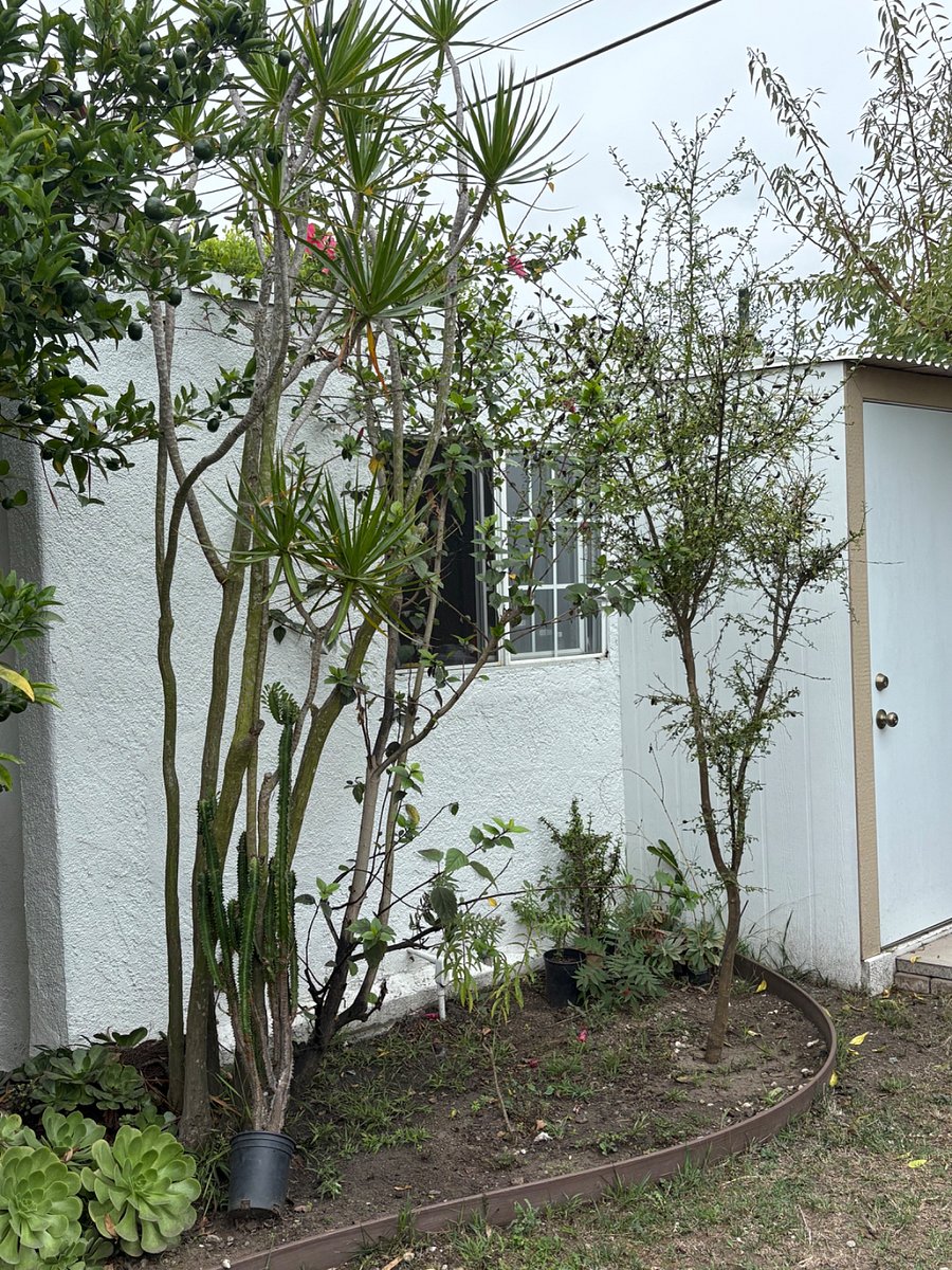 Furnished Finder property 577217_1 photo 16