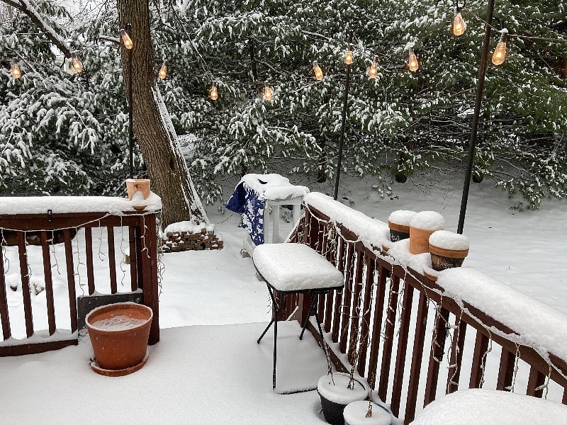 A very snow day!