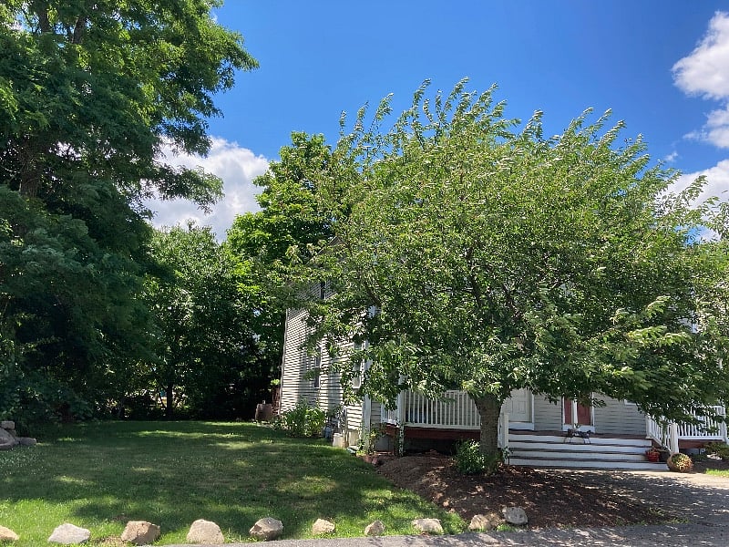 Furnished Finder property 577326_1 photo 11