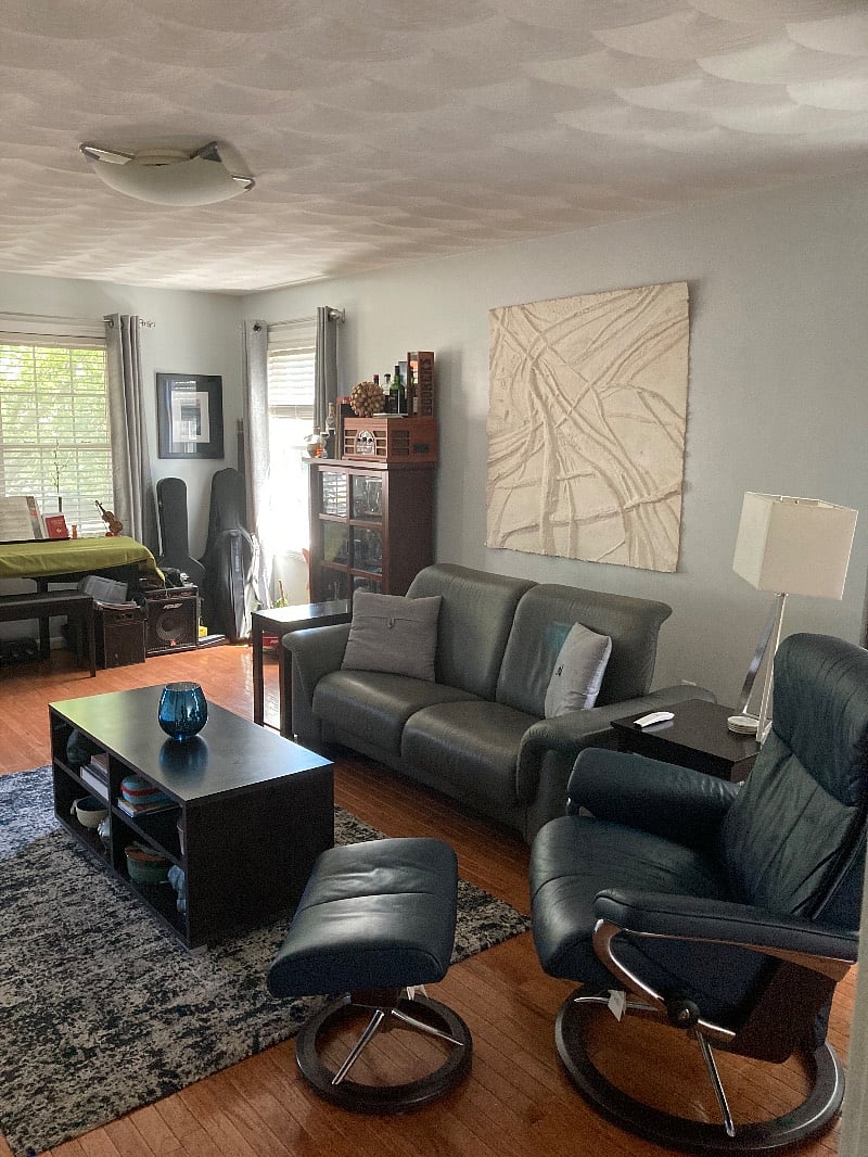 Living Room Area
