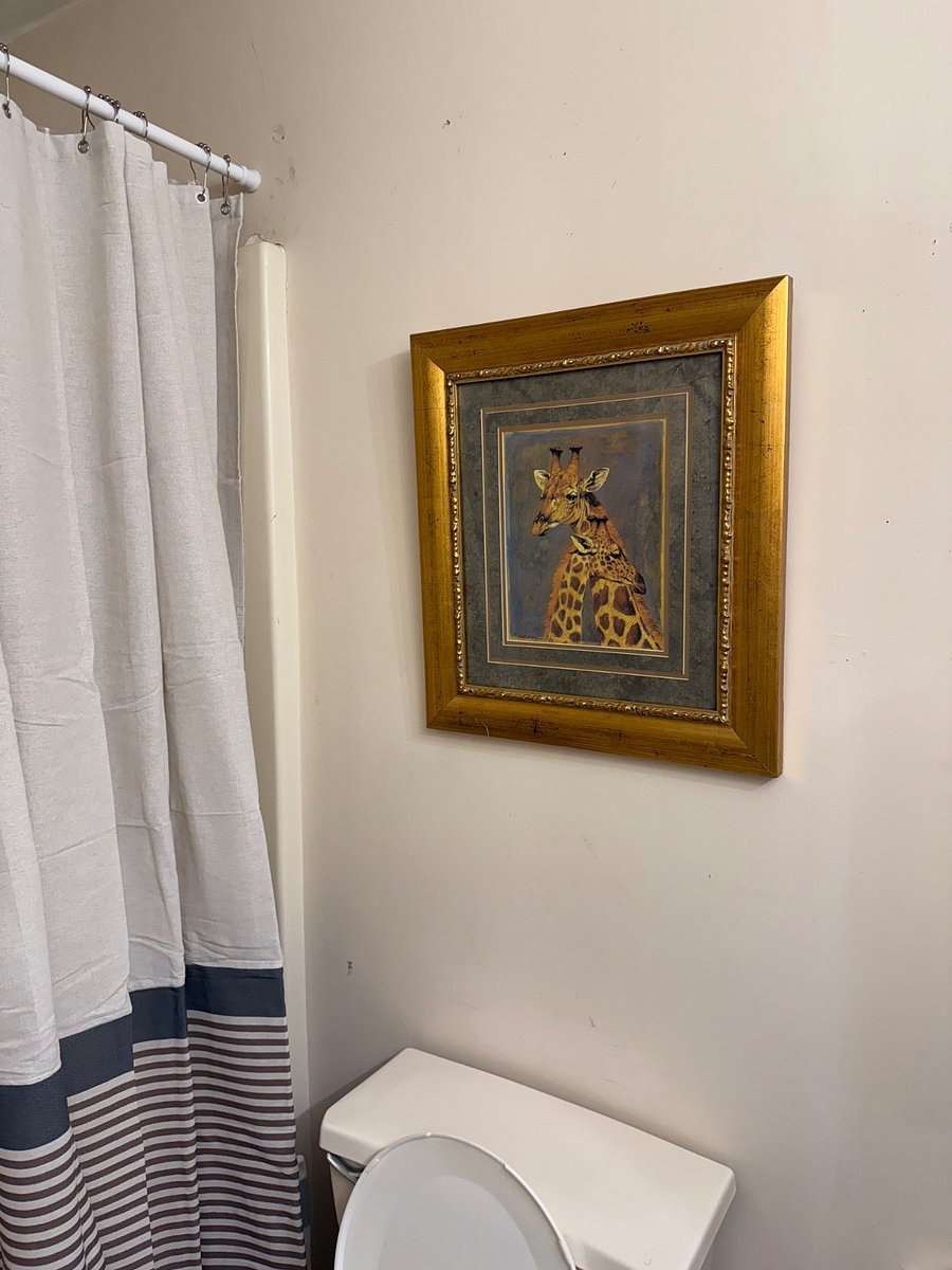 Furnished Finder property 577343_1 photo 25