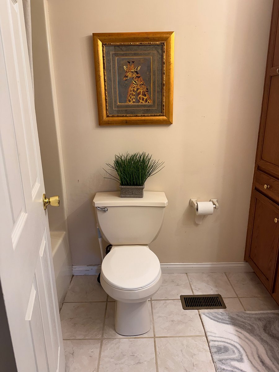 Furnished Finder property 577343_1 photo 22