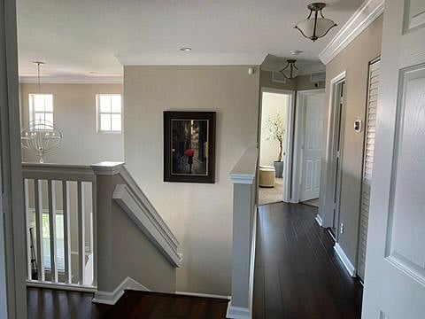 Furnished Finder property 577411_1 photo 12