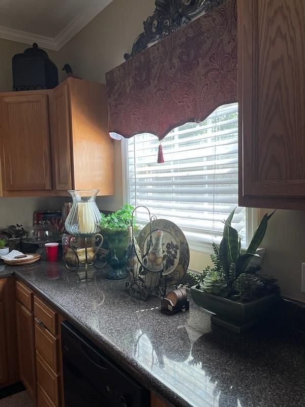 Furnished Finder property 577820_1 photo 10