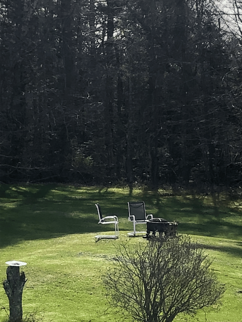 View of backyard with firepit