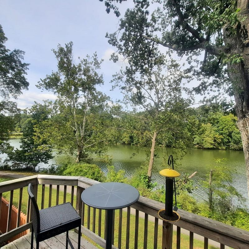 Furnished Finder property 578323_1 photo 17