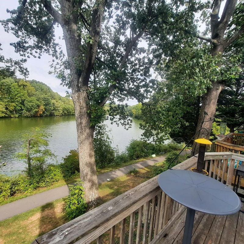 Furnished Finder property 578323_1 photo 18