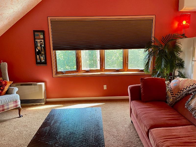 Darkening blinds