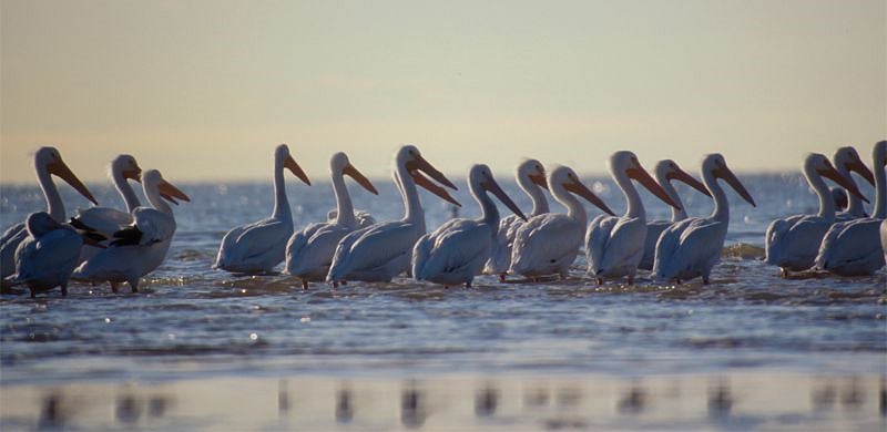 3 minutes from Galveston Bay with many waterfront views