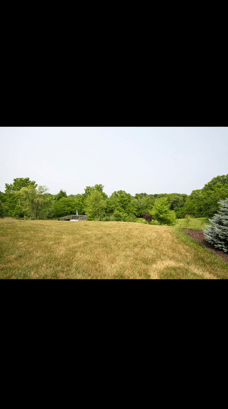 Furnished Finder property 578572_1 photo 13