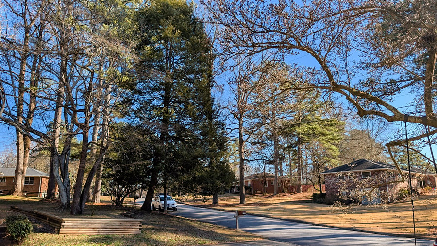 Neighborhood