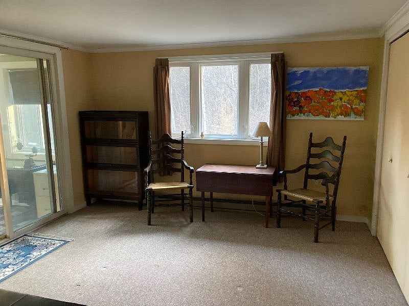 Downstairs bedroom